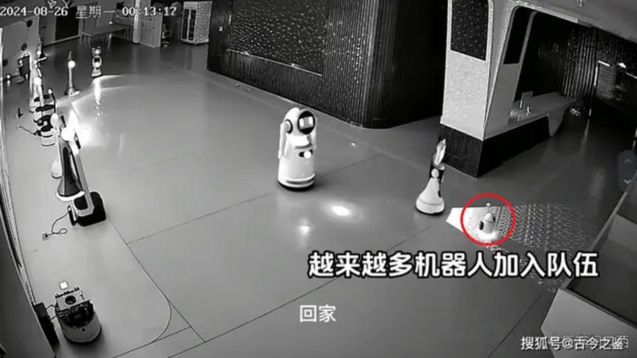 Viral Kejadian Aneh 12 Robot 'Diculik' oleh Robot Lainnya, Faktanya Mengejutkan