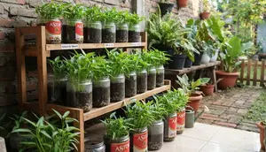 Cara Tanam Kangkung di Toples Bekas Astor untuk Berkebun di Lahan Terbatas