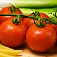 Pastinya sudah tau kan dengan buah tomat? Buah yang satu ini selalu menjadi perdebatan dalam penyebutanya, apakah termasuk buah atau sayur. 