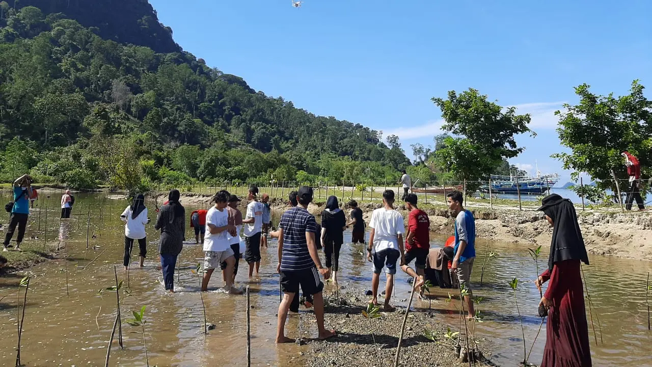 Anak-anak muda Minang menanam mangrove di Sungai Pinang Kabupaten Pesisir Selatan Sumatera Barat. (Liputan6.com/ Novia Harlina)