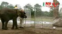 liputan6