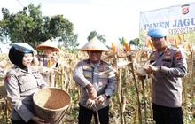 Fantastis, Polda Banten Panen Jagung 2.540 Ton, Lampaui Target Awal Dukung Swasembada Pangan Nasional!