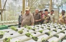 Taman Ketahanan Pangan Semar Ndalil Girikerto Sleman: Inovasi Terpadu Berbasis Edukasi Wisata