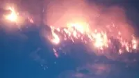 Tumpukan serabut kelapa terbakar di Banyuwangi (Istimewa)