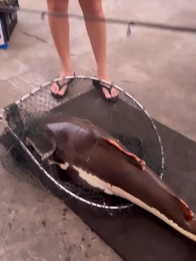 [Fimela] Prilly Latuconsina