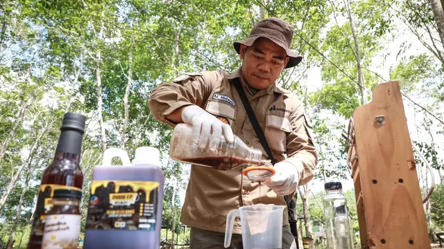 PT Pertamina EP (PEP) Sangatta Field bersama Kelompok Tani Hutan Trigona Reborn mengoptimalkan budidaya lebah kelulut sekaligus mendukung pengembangan pariwisata edukatif di area konservasi. (Dok Pertamina)
