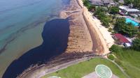 Gambar dari udara tumpahan minyak di Pantai Benua Patra, Balikpapan, Kalimantan Timur, Senin (2/4). Tumpahan minyak disebabkan oleh pipa bawah laut Pertamina yang pecah. (AFP)