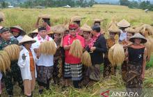 Bupati Tabanan Buka Festival Jatiluwih Ke-7, Dorong Ekonomi Rakyat dan Pariwisata Lokal