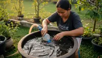 Cara Ternak Lele di Gentong 25 Liter, 7 Langkah Mudah Dijamin Panen