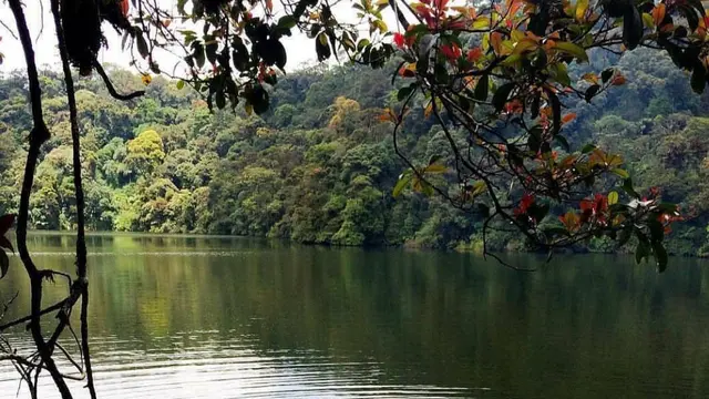 Danau di Gunung Daun di Bengkulu https://www.instagram.com/p/B-1X87hDaqQ/?igsh=cG50eDZ4ejF3NnZm