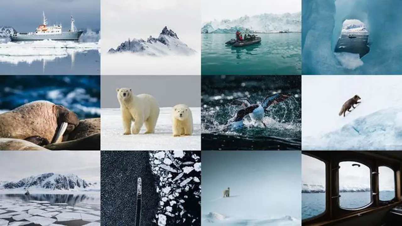Como arctic
