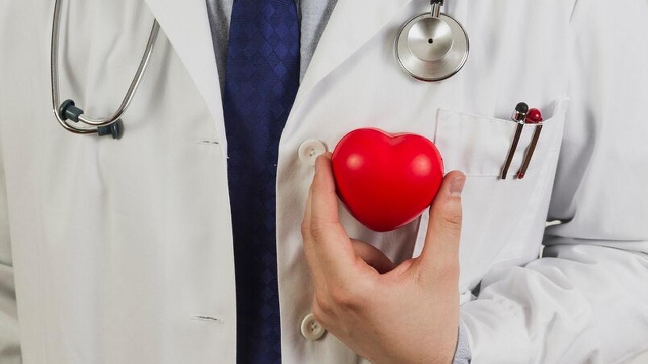 Mengenal Rekan Kerja Jantung, Organ-Organ Penting Penjaga Keseimbangan Tubuh