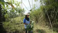 Program Sandi Uno Dongkrak Ekonomi Masyarakat Desa di Magelang