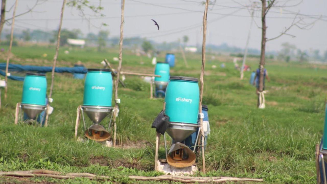 Kronologi Dugaan Penggelapan eFishery Mencapai Rp9,7 Triliun