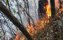Kebakaran Gunung Lawu belum bisa dipadamkan, merembet ke Jawa Tengah