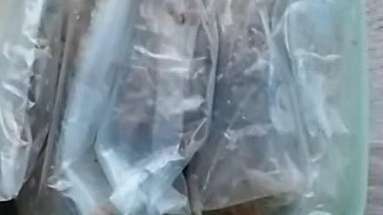 Simpan di Freezer