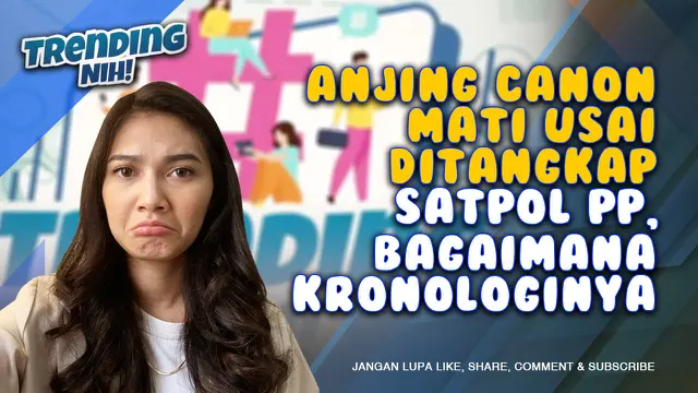 VIDEO: Trending Nih! Anjing Canon Mati Usai Ditangkap Satpol PP, Bagaimana Kronologinya?