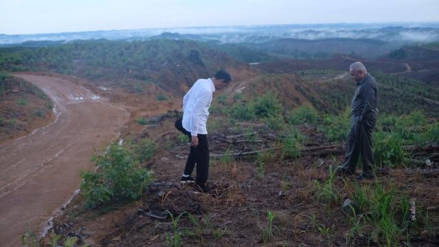 Presiden Jokowi meninjau ibu kota baru di Kecamatan Sepaku, Kabupaten Penajam Paser Utara, Kalimantan Timur, Selasa (17/12/2019).(Liputan6.com/ Lizsa Egeham)