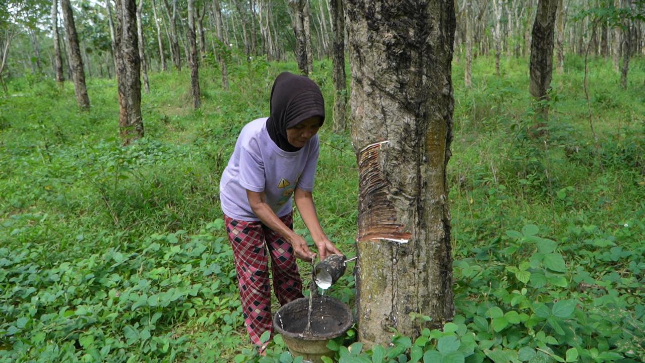 Kisah Haru Nenek Samini di Usia 70 Tahun, Berharap Sekolah Rakyat Jadi Jalan Cucunya Keluar dari Kemiskinan