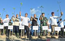 Indonesia Genjot Restorasi Mangrove 700 Ribu Hektar, Kunci Mitigasi Iklim dan Ekonomi Pesisir