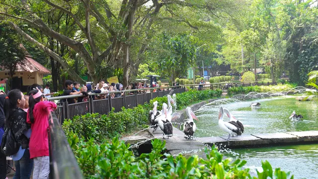 Kebun Binatang Ragunan Jakarta Dipadati Ribuan Pengunjung