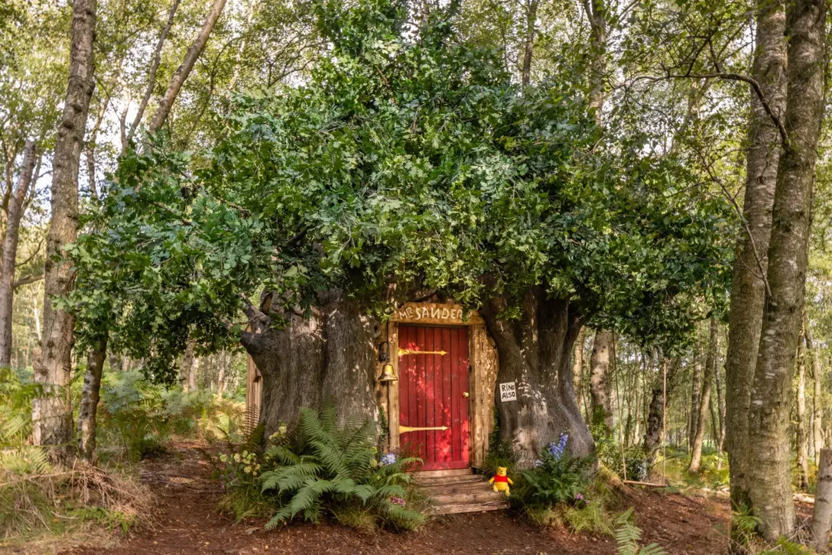 Rumah Pohon Mirip Milik Winnie The Pooh Disewakan, Tamu Diizinkan Tidur Siang Lama