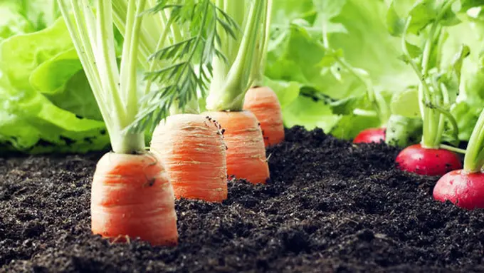 Courtesy ShutterStock.com