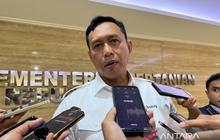 Bulog Siap Salurkan 35 Persen Minyakita Langsung ke Pedagang Mulai 2026, Jamin Stabilitas Harga