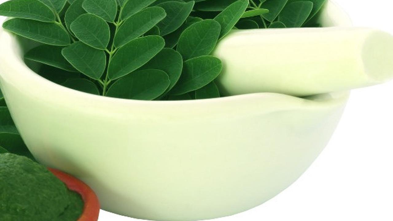 3 Metode Praktis Merebus Daun Kelor untuk Menurunkan Kolesterol dan Asam Urat dengan Mudah!