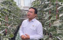Potret Kebun Melon Jepang Milik Jenderal Dudung Abdurachman, Kalau Panen Cuannya Tak Kaleng-Kaleng