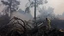 Seorang petugas pemadam kebakaran memadamkan kebakaran hutan di dekat kibbutz Maale Hahamisha di daerah desa Arab-Israel Abu Ghosh dekat Yerusalem, Israel, Rabu (9/6/2021). Puluhan petugas pemadam kebakaran dan 10 tanker udara berjuang memadamkan api. (Menahem KAHANA/AFP)