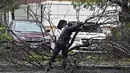 Polisi menyingkirkan pohon tumbang yang menghalangi Boyd Road di Pleasant Hill, California, Minggu (24/10/2021). Badai kuat menerjang California Utara yang sempat mengalami kebakaran hutan, memicu tanah longsor dan banjir, juga membawa angin kencang. (Jose Carlos Fajardo/Bay Area News Group via AP)