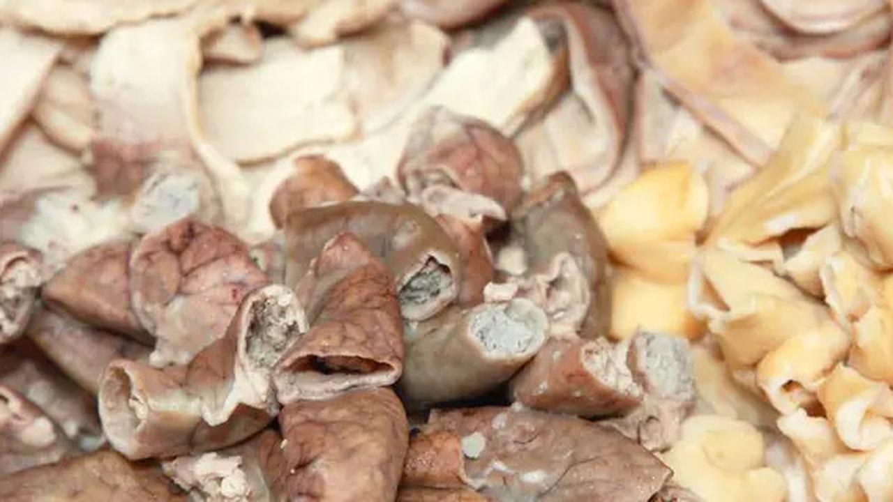 Cara Ampuh Memasak Soto Jeroan Daging untuk Mengurangi Lemak dan Kolesterol