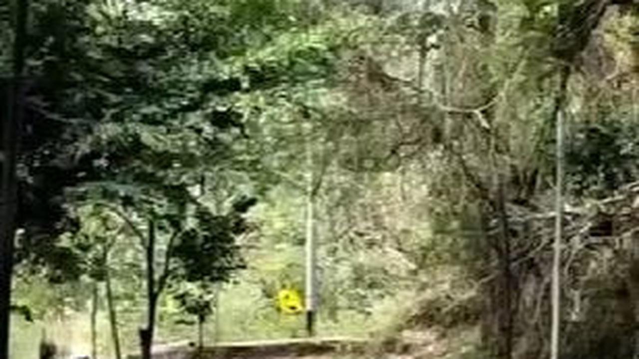 Dikenal Sebagai Jalur Ekstrem, Ini Sisi Menarik Bukit Tunggangan Wonogiri