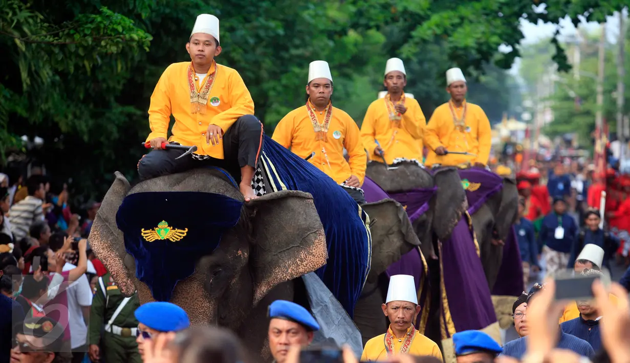 Sejumlah gajah mengikuti kirab ageng melintasi Jl Kusuma Negara, Yogyakarta, Kamis (7/1) .KGPAA Paku Alam X di nobatkan sebagai raja Kadipaten Pakualaman usai mengikuti upacara jumeneng dalem di Bangsal Sewotomo Puro Pakualaman.(Boy Harjanto)