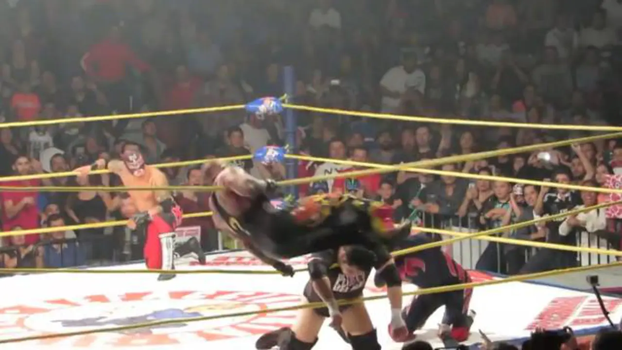 Rey Mysterio & Perro Aguayo