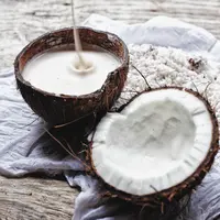 ilustrasi santan kelapa/copyright By homelesscuisine (Shutterstock)