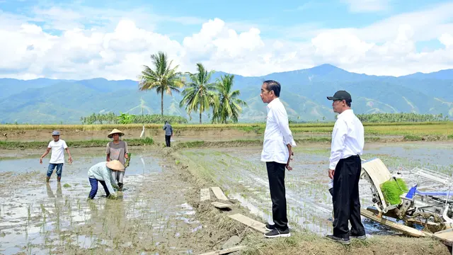 Mentan Pastikan Pemerintah Kawal Stok Pangan Nasional, Pacu Produksi Melalui Strategi Tanam Culik