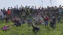 Para peserta bersaing dalam perlombaan menuruni bukit putri selama kontes Cheese Rolling di Cooper's Hill di Brockworth, Gloucestershire, Senin 29 Mei 2023. (AP Photo/Kin Cheung)