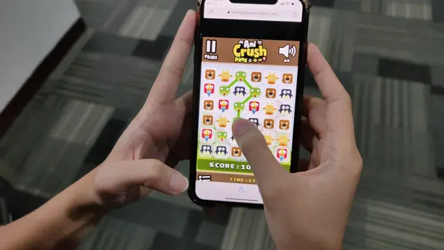 Ani Crush Pang dan Sea Adventure