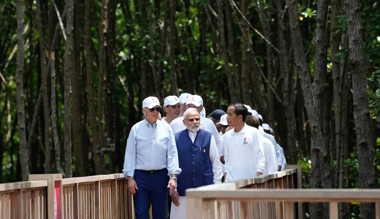Presiden Amerika Serikat Joe Biden (kiri) dan Perdana Menteri India Narendra Modi (tengah) berjalan bersama Presiden Indonesia Joko Widodo atau Jokowi melewati hutan mangrove Taman Hutan Raya Ngurah Rai di sela-sela pertemuan KTT G20, Denpasar, Bali, Indonesia, Rabu (16/11/2022). Para pemimpin dunia menanam mangrove bersama untuk menekankan peran penting menangani krisis iklim. (AP Photo/Alex Brandon, Pool)