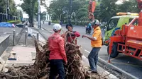 Pemkot Semarang Tanggap Tangani Dampak Hujan Angin, 86 Pohon Tumbang Berhasil Dievakuasi dalam Semalam