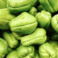 sayur labu siam (credit: Pinterest/Fitri octaviani/labu baby)