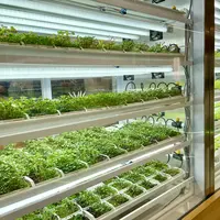 Hyperlocal Metafarming hadir untuk pertama kalinta di Plaza Indonesia.
