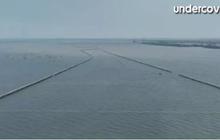Misteri Pagar Sepanjang 30,16 km Lintasi 6 Kecamatan di Laut Tangerang, Siapa yang Buat?