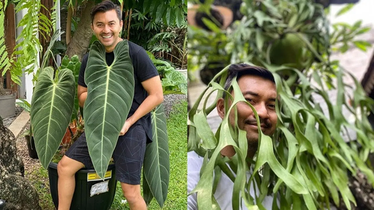 6 Potret Kocak Anjasmara saat Pose Bareng Tanaman Ini Bikin Geleng Kepala