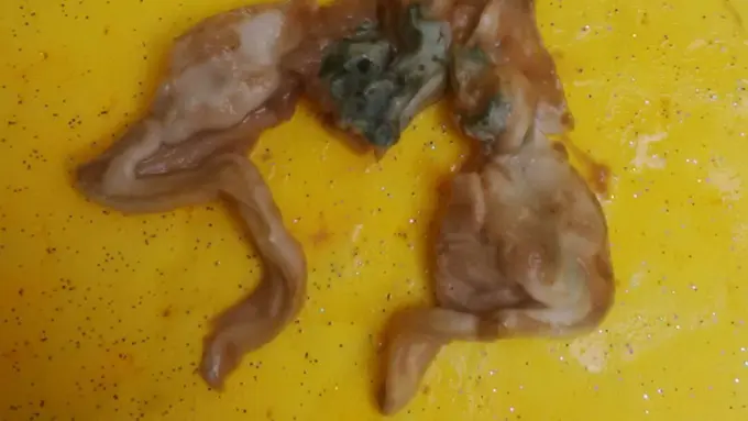 Penemuan Kaki Kodok dalam Susu Kemasan Gegerkan Warga Bandung