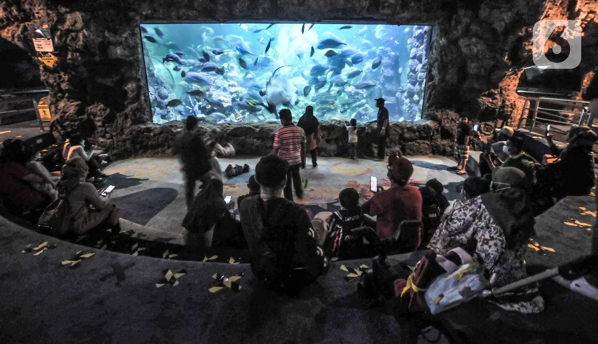 Anak-anak didampingi orangtua saat berkunjung ke SeaWorld, Ancol, Jakarta, Kamis (21/10/2021). Salah satu aturan PPKM yang disesuaikan Pemprov DKI Jakarta adalah kembali dibukanya tempat bermain anak dan pusat hiburan. (merdeka.com/Iqbal S. Nugroho)