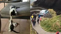 7 Foto Ini Buktikan Hidup Selalu Penuh Drama