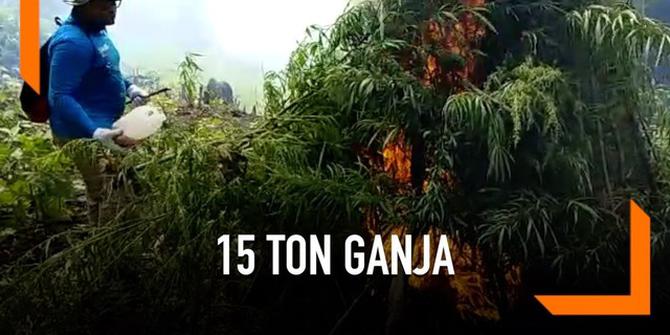 VIDEO: 15 Ton Ganja Basah Dimusnahkan BNN